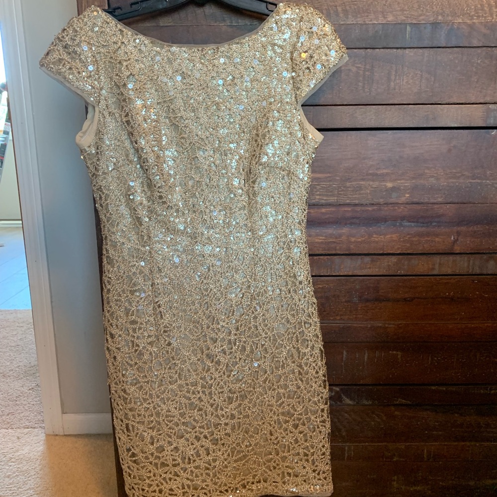 Adrianna Papell Dress - Picture 1 of 5